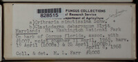 Image Associated With the Occurence